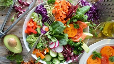 Nutrition principles and recommendations